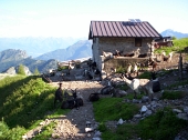 Salita sulla GRIGNA SETTENTRIONALE dal sentiero estivo 25 sul versante valsassinese - sabato 23 luglio 2011 - FOTOGALLERY